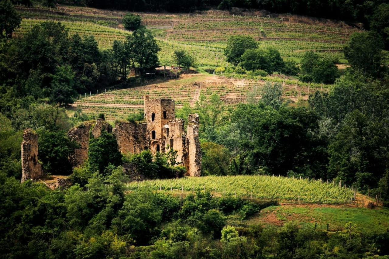 Villa Gelso Vesime Εξωτερικό φωτογραφία